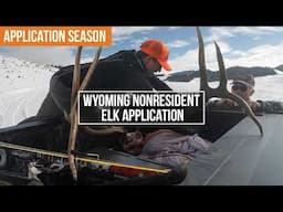 How to Draw an ELK Tag in Wyoming | 2025 Application Strategy