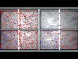 Diffusion Animation - Different Concentration