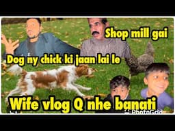 Dog ny chick 🐥 ki jaan lai lee | wife ab vlog Q nhe bana tii | kaam k liya shop mil gai ..