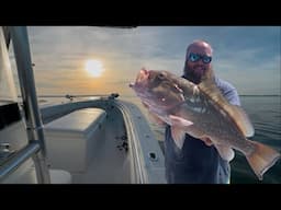 Florida Snapper & Grouper 50 Miles Out!!! Bottom Fishing | Catch, Clean, Cook