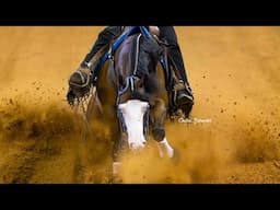 Reining Horse Tries Cutting