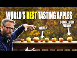 Tasting The Worlds Best Flavored Apples