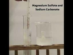 magnesium sulfate and sodium carbonate chemistry Experiment chemical reaction with precipitate