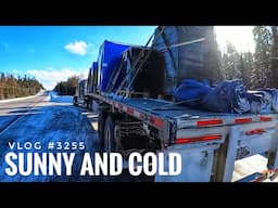 SUNNY AND COLD | My Trucking Life | Vlog #3255