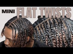 Mini Flat Twists Hairstyle