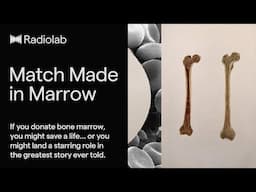 Match Made in Marrow | Radiolab Podcast