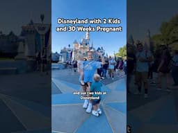 Disneyland with Toddlers while Pregnant! #momlife #disneyland #disneywithkids #pregnancy #disneymom