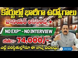 కోర్టుల్లో ఉద్యోగాలకు భారీ నోటిఫికేషన్ | Junior Assistant Jobs 2025 | Central Govt Jobs | Job Search