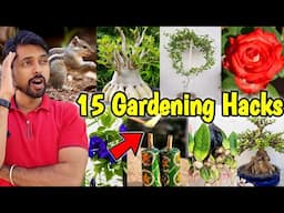 My 15 Gardening Hacks you must know | Rose Plant DIY (Part-5)