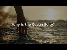 Why is the Ocean Salty?