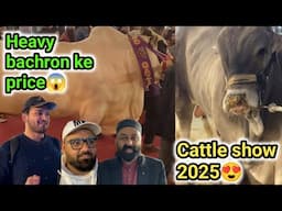 55 lakh ka bachra show ma😱| Heavy bulls ke price😍