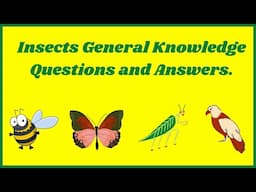 GK Questions About Insects | Quiz On Insects | GK Questions | Educational GK | General Knowledge