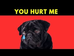 10 ATTROCITIES THAT HURT YOUR DOG EMOTIONALLY!