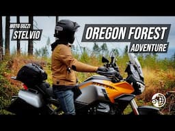 Oregon Forest | Moto Guzzi Stelvio | Motorcycle Adventure | MotoGeo