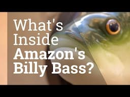 Inside the Alexa Billy Bass