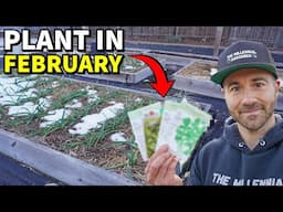 44 Veggies You Can Plant In February RIGHT NOW!