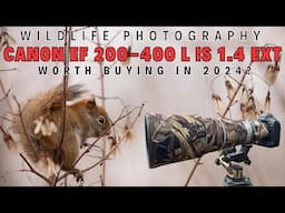 Wildlife Photography | Should you Buy Canon EF 200-400mm F4 L IS USM Ext 1.4x | In the Field Review