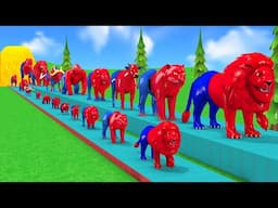 Long Slide Game With Elephant Gorilla Buffalo Tiger Lion 3d Animal Game Funny 3d Paint Animals