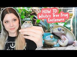 How To Set Up A White's Tree Frog Enclosure