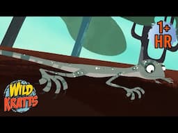 Flight of the Draco | NEW COMPILATION | Forest Mission | Wild Kratts | 9 Story Kids