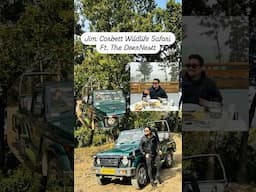 Wildlife Jungle Safari at Jim Corbett ft. The Deer Nestt #FoodZpah #Shorts #Jungle