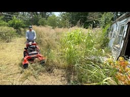 Siblings FEUD went so far the grass grew TALLER THAN THE HOUSE