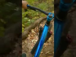 Riding FAST in the woods