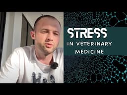 How to avoid stress in veterinary medicine