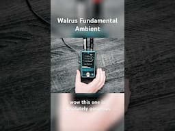 @walrusaudioeffects Fundamental Ambient: Ultimate Lo-Fi Reverb Techniques #lofi #pedalsandeffects