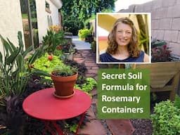 Secret Soil Formula for Rosemary Container Garden