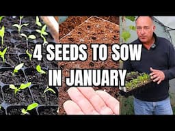 Sow THESE 4 Veg Seeds in January NOW!