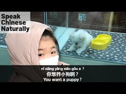 Learn Chinese Conversation: I Want a Puppy! 我想养小狗| Learn Real Chinese Conversation | 学中文