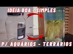 Boa Ideia P/ Terrários, Aquários E Muito Mais!!!