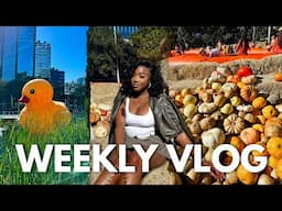 I went to a BOOTLEG pumpkin patch ... but yay, its finally fall | COURTREEZY 2.0