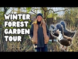 Large Allotment Tour in Winter | Permaculture Garden