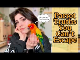 10 Parrot Ownership Realities You Can’t Ignore