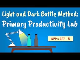 The Light and Dark Bottle Method | Primary Productivity