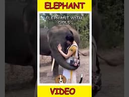 Elephant video funny one 😃 #mysteriousworldtamil #funny