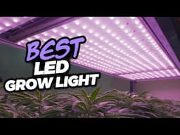 TOP 5 Essential LED Grow Light Features Every Gardener Needs