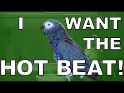 Bird Dubstep