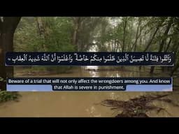 Surah anfal Ahmed khedr heart melting voice❤️ Soothing Quran