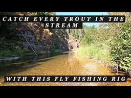 If there are trout in the stream - this Fly Fishing Rig will catch all of them!