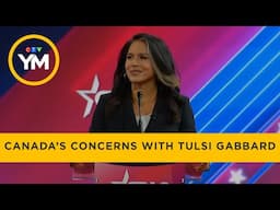 What Tulsi Gabbard As U.S. Intel Chief Could Mean For Canada | Your Morning