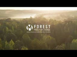 Forest MOOC For Change: the first free online course on Continuous Cover Forestry!