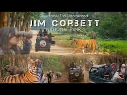 JIM CORBETT~INDIA SAFARI| Do you always see Tigers? Happy 2025😍 #jimcorbett #vlog #travel #india #4k