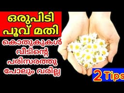 പൂക്കൾ കൊണ്ടുള്ള ഈ കിടിലൻ പരിപാടി കണ്ടു നോക്കൂ നിങ്ങൾ ഞെട്ടിപ്പോകും | Amazing Kitchen  Tips