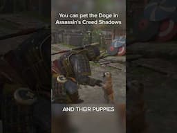 You can pet the Doge in Assassin's Creed Shadows (and puppies!!) 🐕