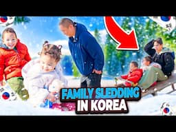 Our Life in Korea: Freezing While Trying to Sled with Toddlers & Catching Ice Fish for Lunch