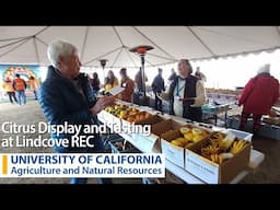 Lindcove REC Citrus Display & Tasting 2024