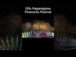 Japan Spectacular Fireworks Show - Gifu Nagaragawa Hanabi 2024 ぎふ長良川花火大会 フィナーレ 600mワイドスターマイン